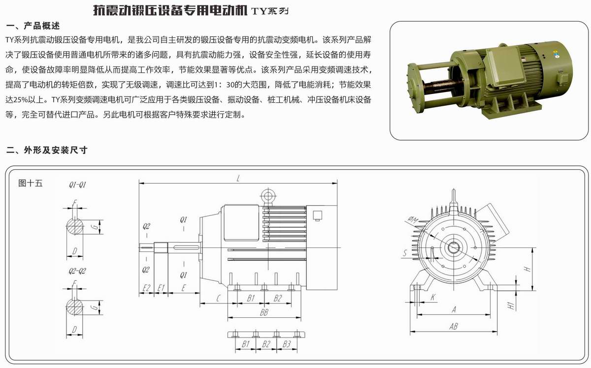 抗震動鍛壓設(shè)備專用電動機  TY系列 01